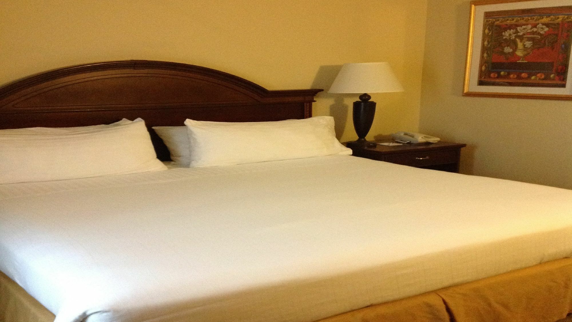 Holiday Inn Express Hotel & Suites Pigeon Forge By Ihg Buitenkant foto