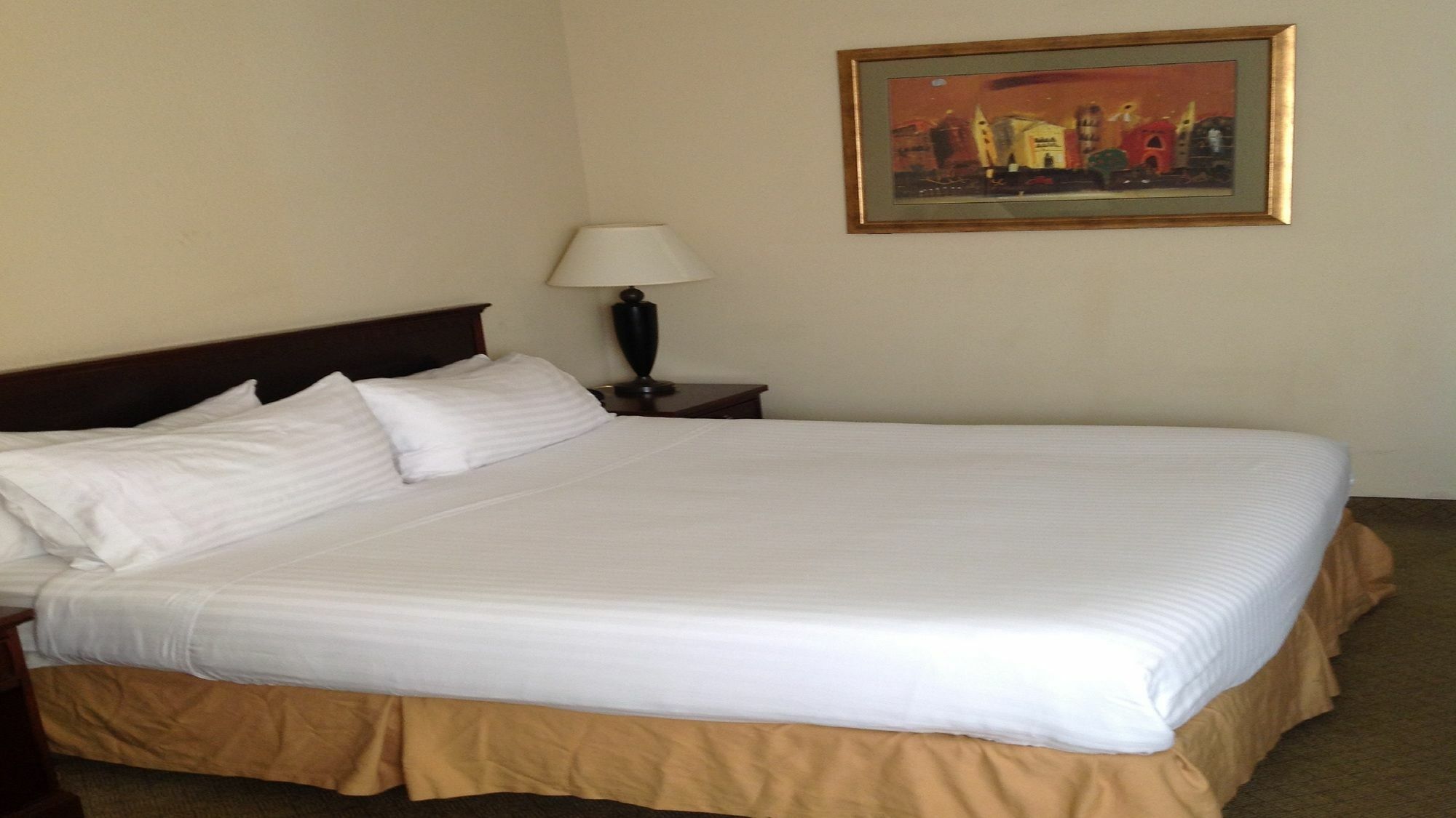 Holiday Inn Express Hotel & Suites Pigeon Forge By Ihg Buitenkant foto
